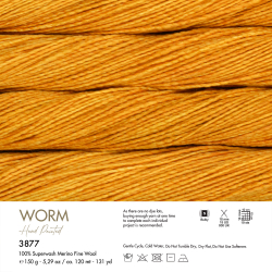 Worm 3877 - Gazzal (1)