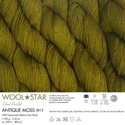 Wool Star - 3813 - Antique Moss - (1)