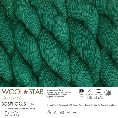 Wool Star 3816 - Gazzal
