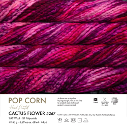 Popcorn 5267 - Gazzal (1)