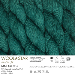Wool Star - 3815 - Fanfare - (1)
