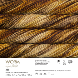 Worm - 3881 - (1)
