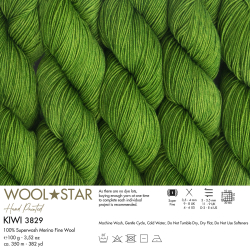 Wool Star 3829 - Gazzal (1)